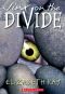 [The Divide 03] • Jinx On The Divide